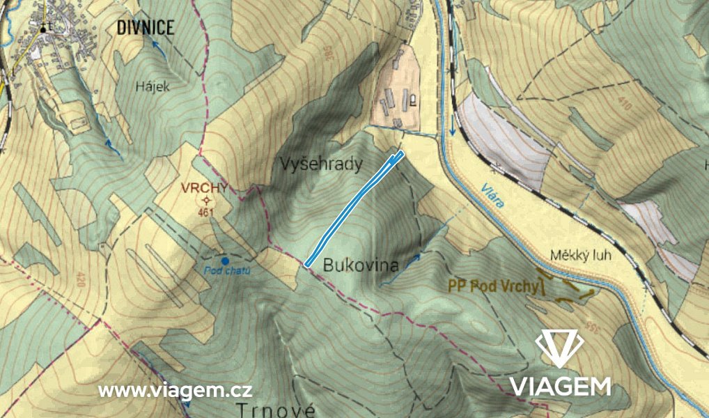 Prodej lesa 3 722 m², Bohuslavice nad Vláří – náhled fotky 3