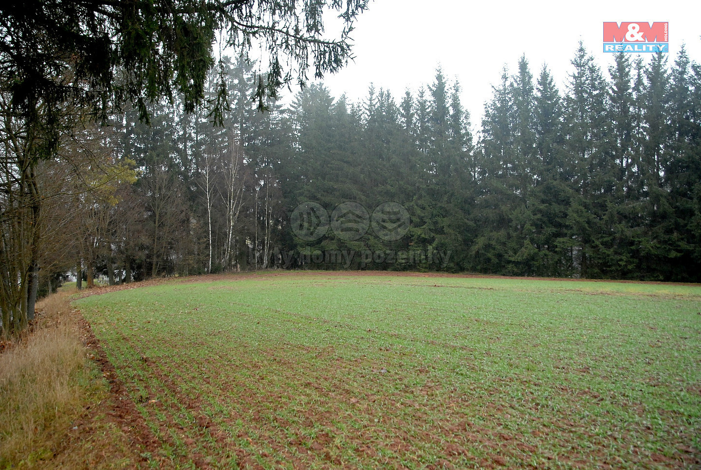 Prodej pole 2 465 m² — photo 2