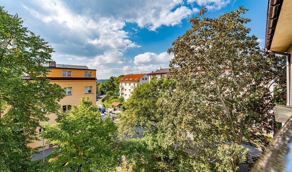 Prodej bytu 4+kk 183 m², Praha – náhled fotky 21