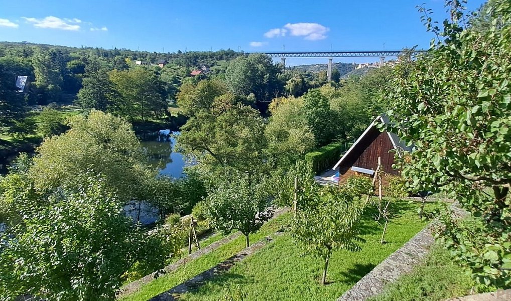Prodej zahrady 1 116 m², Znojmo – náhled fotky 5