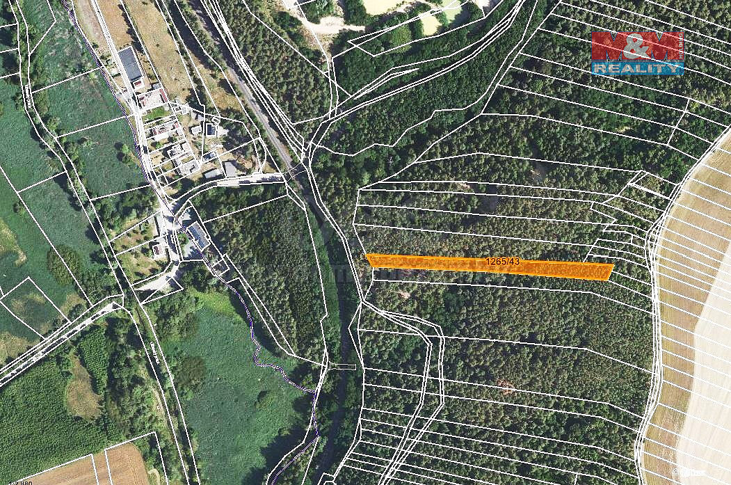 Prodej lesa 3 507 m²