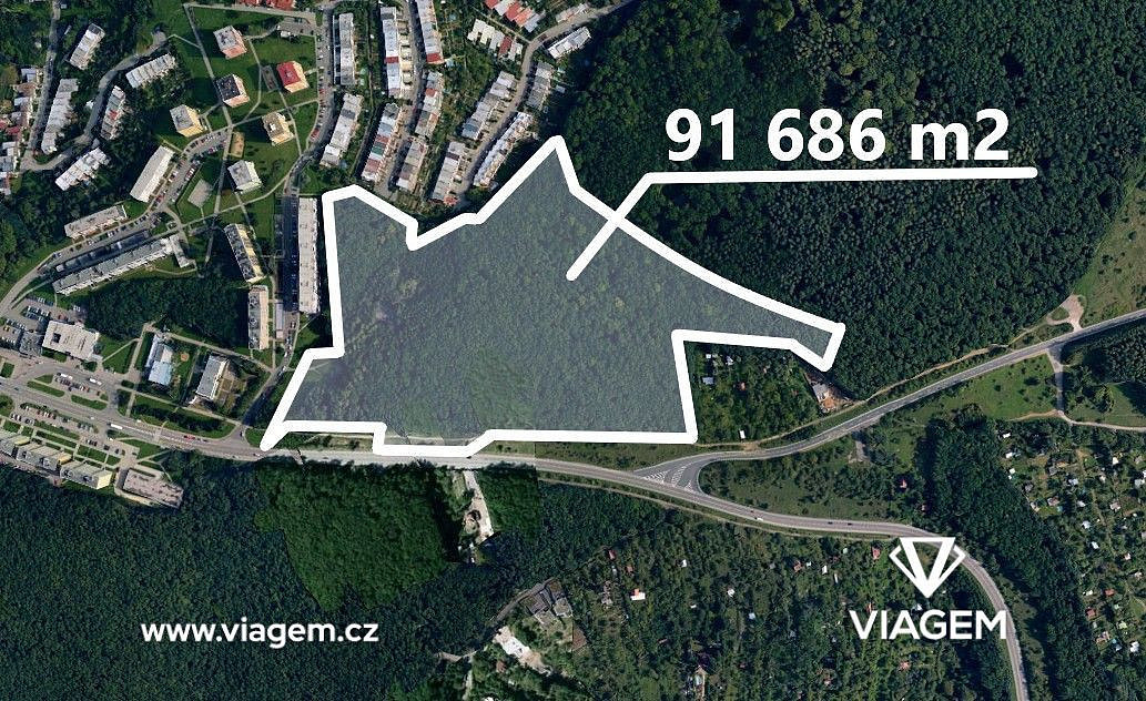 Prodej lesa 5 730 m²