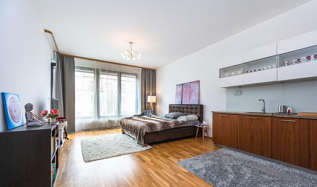 Pronájem bytu 2+kk 65 m², Praha – fotka 1 z 15