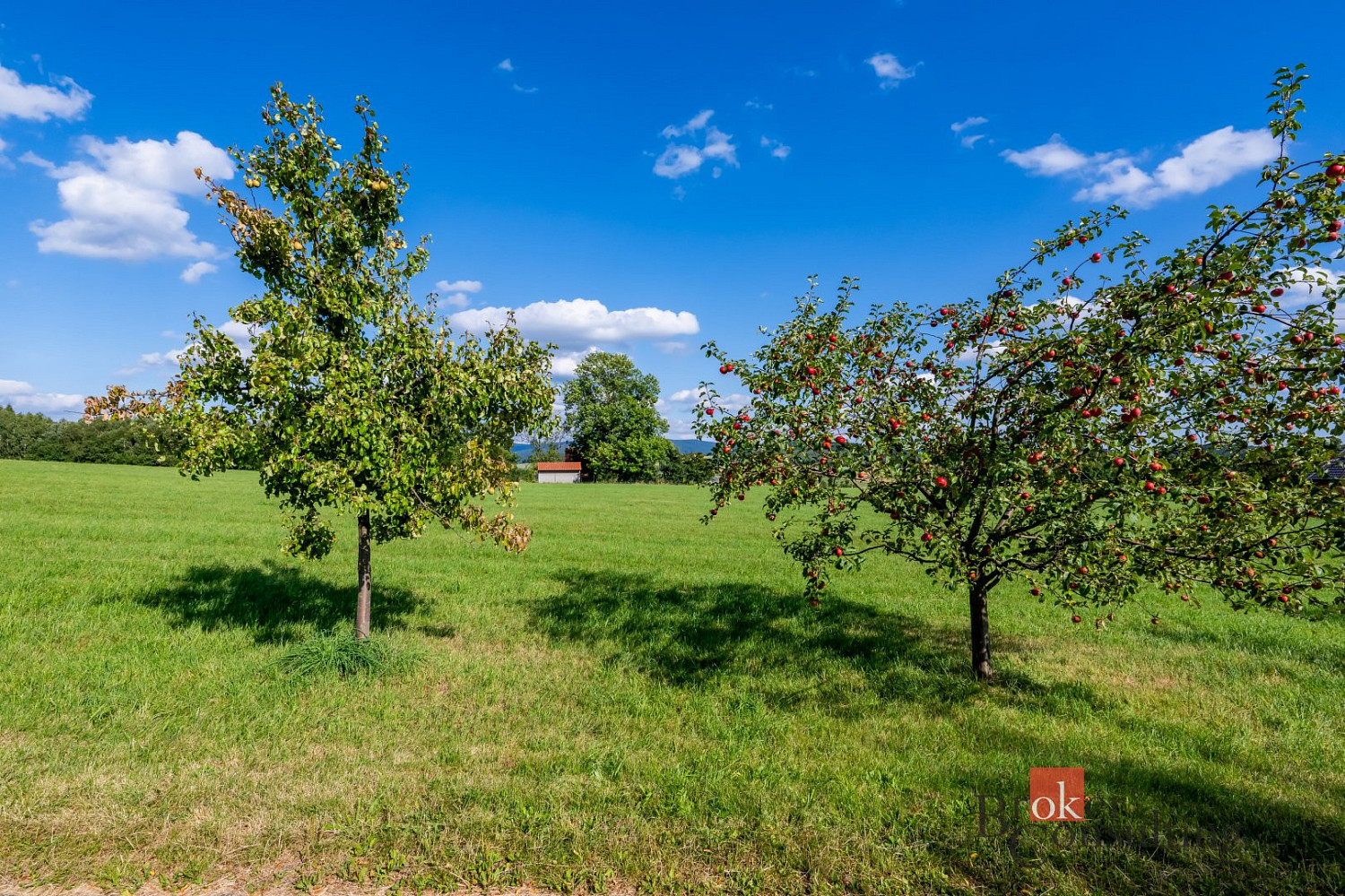 Prodej louky 7 126 m² - Widok 6