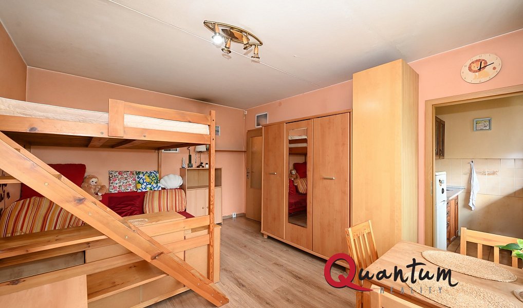 Pronájem bytu 1+kk 27 m², Praha – náhled fotky 2