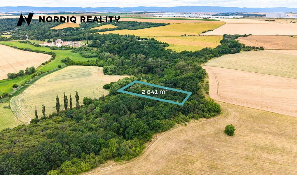 Prodej pole 2 841 m², Staňkovice – náhled fotky 2