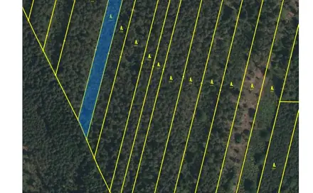 Prodej lesa 32 388 m², Třeboň - Břilice, okres Jindřichův Hradec