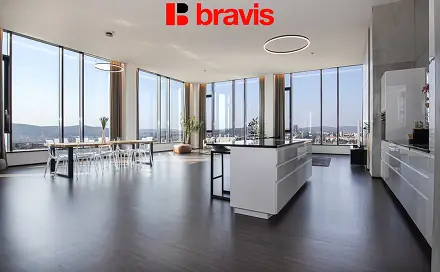 Pronájem bytu 6+kk 280 m², Šumavská, Brno - Veveří