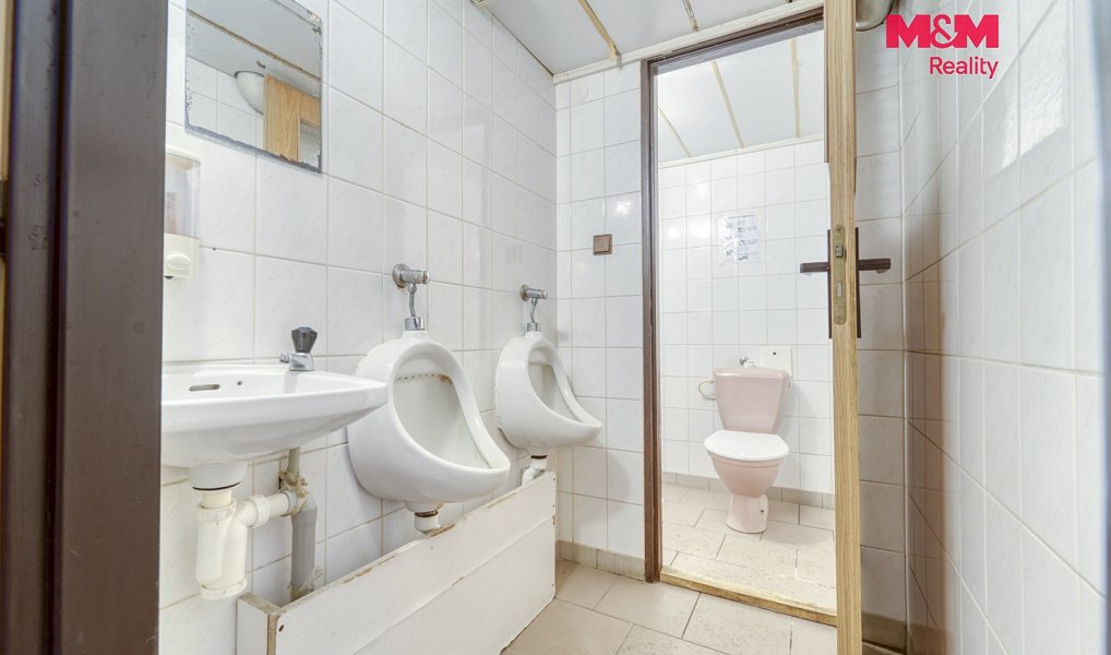 Prodej komerčního pozemku 16 101 m², Vráž – náhled fotky 16