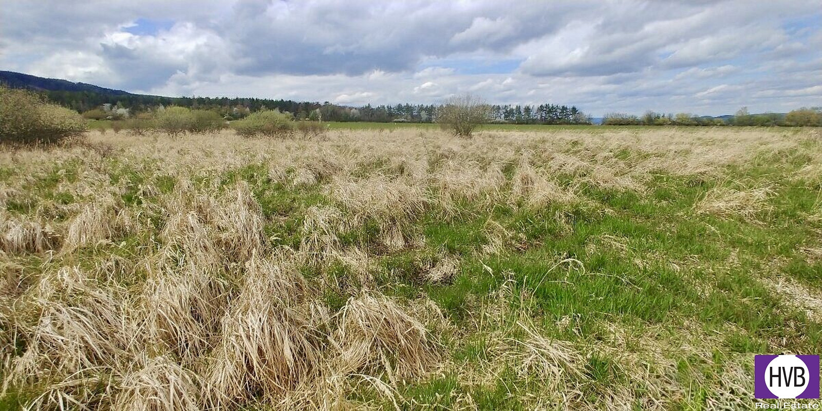 Prodej pole 6 487 m² – fotografie 3