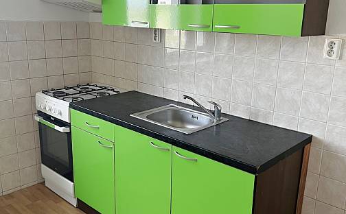 Pronájem bytu 2+kk 47 m², Plzenecká, Plzeň - Východní Předměstí