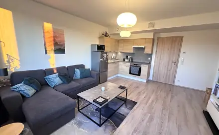 Pronájem bytu 2+kk 43 m², Jankovcova, Praha 7 - Holešovice