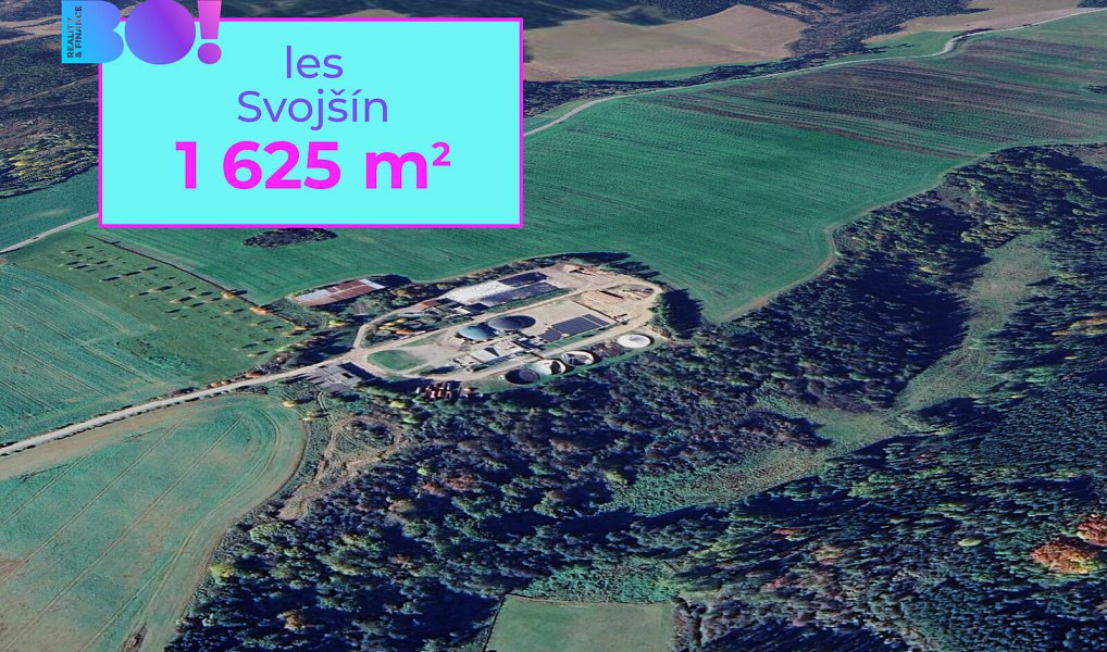 Prodej lesa, 1625 m², Tachov, Svojšín