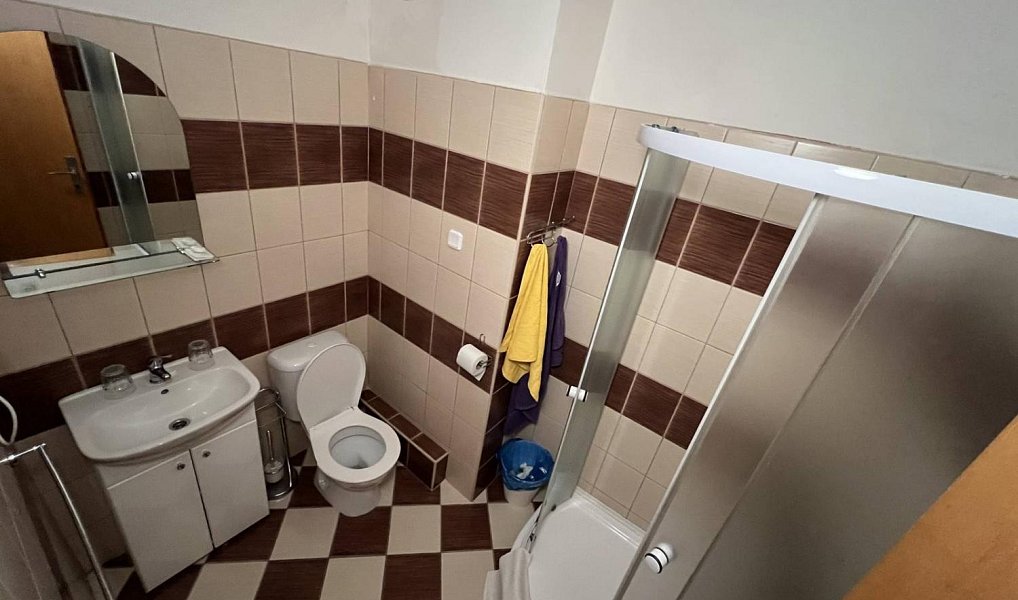 Prodej ubytovacího objektu 9 000 m², Malenovice – náhled fotky 15