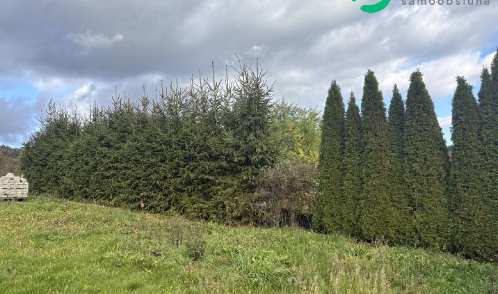 Prodej zahrady 499 m², Radvanice – náhled fotky 6