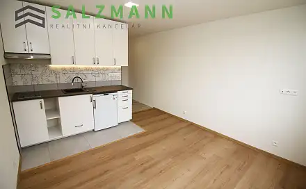 Pronájem bytu 1+kk 2 m², Dolní Bělá, okres Plzeň-sever