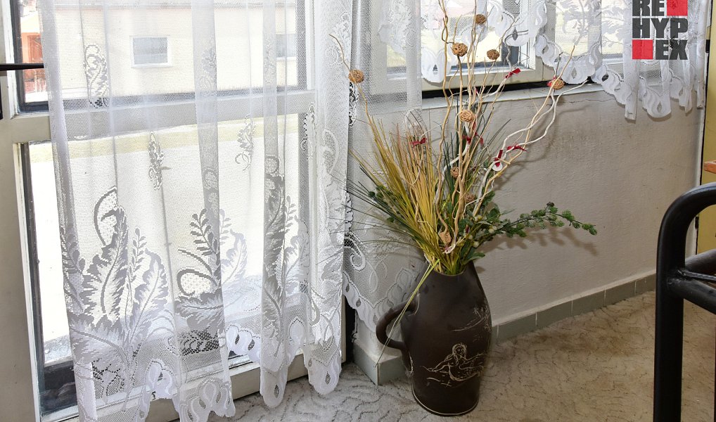 Prodej domu 360 m² s pozemkem 800 m², Halámky – náhled fotky 17