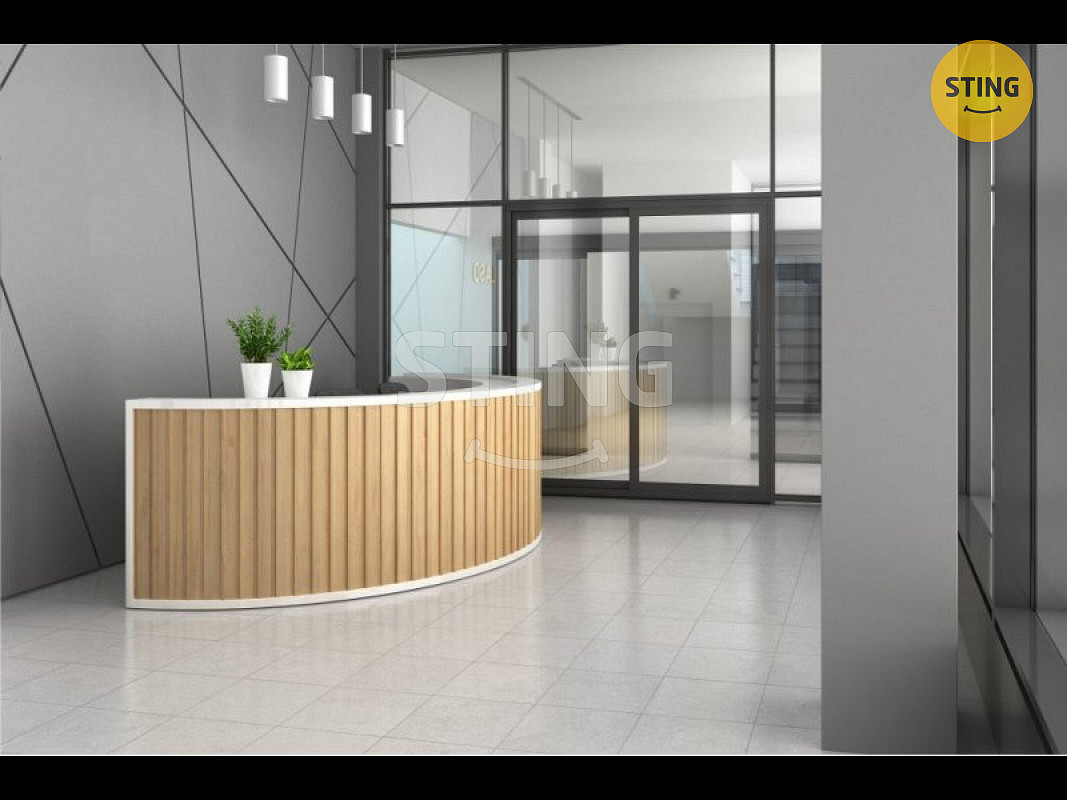 Pronájem kanceláře 500 m² – fotografie 2