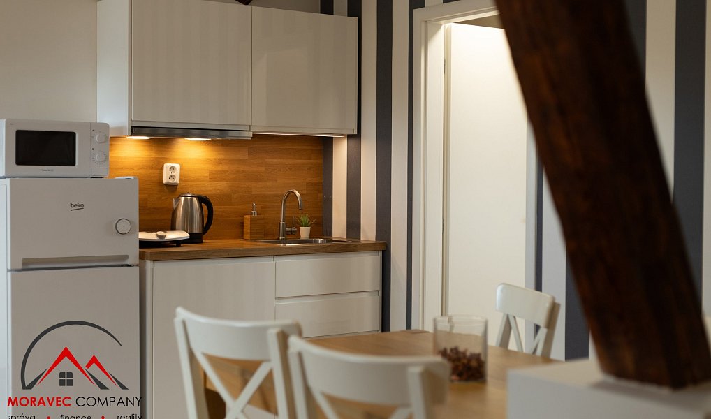Pronájem bytu 1+kk 38 m², Ostrava – náhled fotky 3