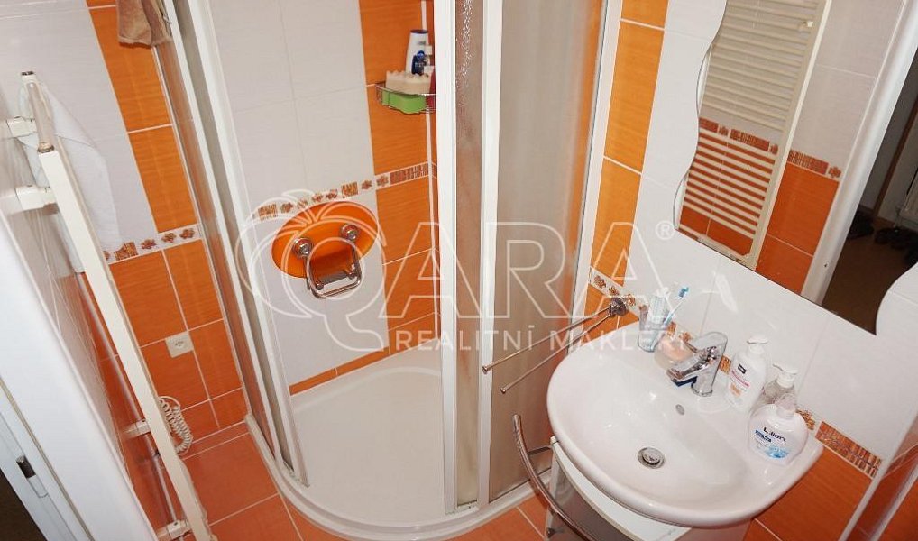Prodej domu 240 m² s pozemkem 937 m², Třebovice – náhled fotky 8