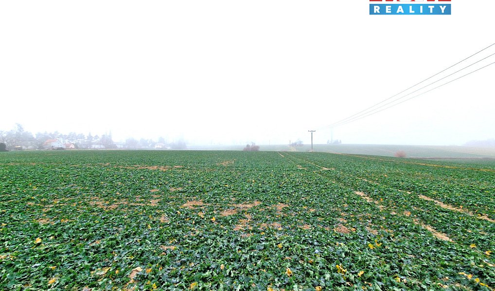 Prodej stavebního pozemku 5 343 m², Štěpánkovice – náhled fotky 4