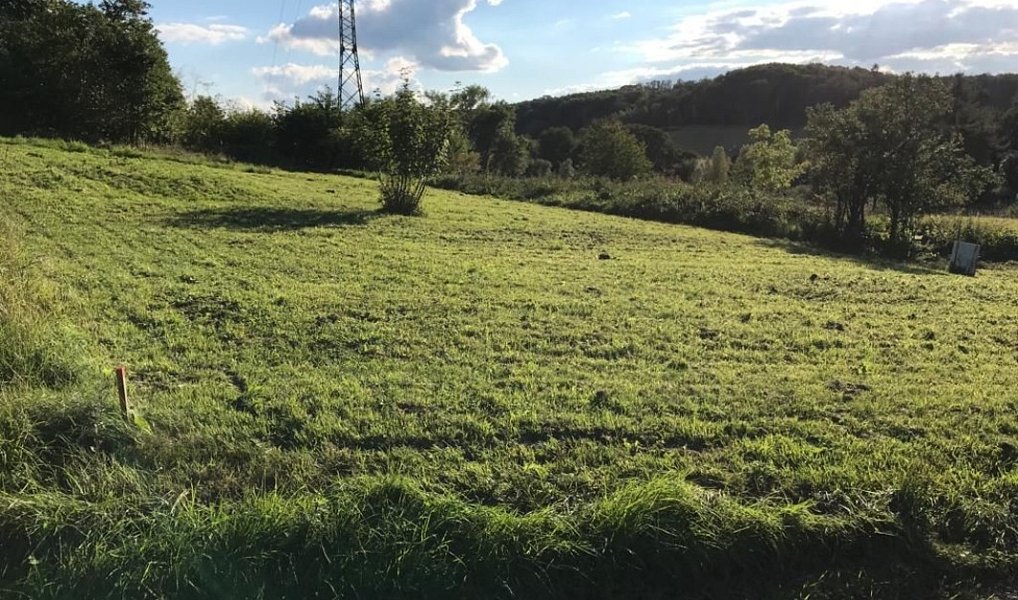 Prodej zahrady 1 851 m², Stebno – náhled fotky 6