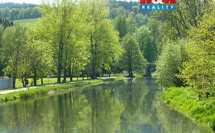 Prodej louky 20 495 m², Náchod - Běloves