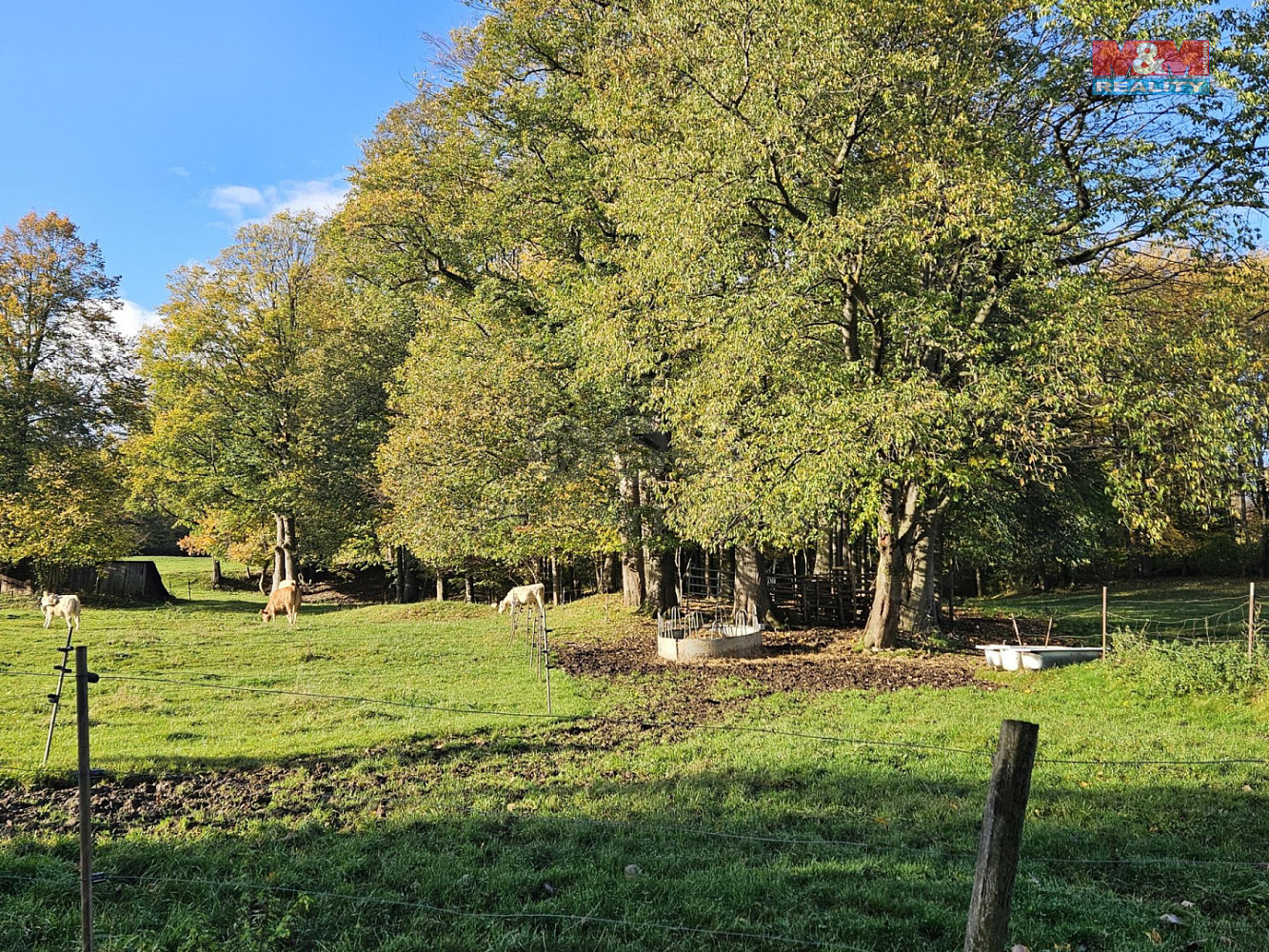 Prodej pozemku 2 133 m² – fotografie 3