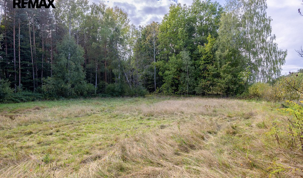 Prodej stavebního pozemku 1 001 m², Suchdol nad Lužnicí – náhled fotky 23