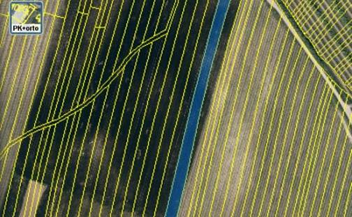 Prodej pozemku 8 393 m², Nechvalín, okres Hodonín