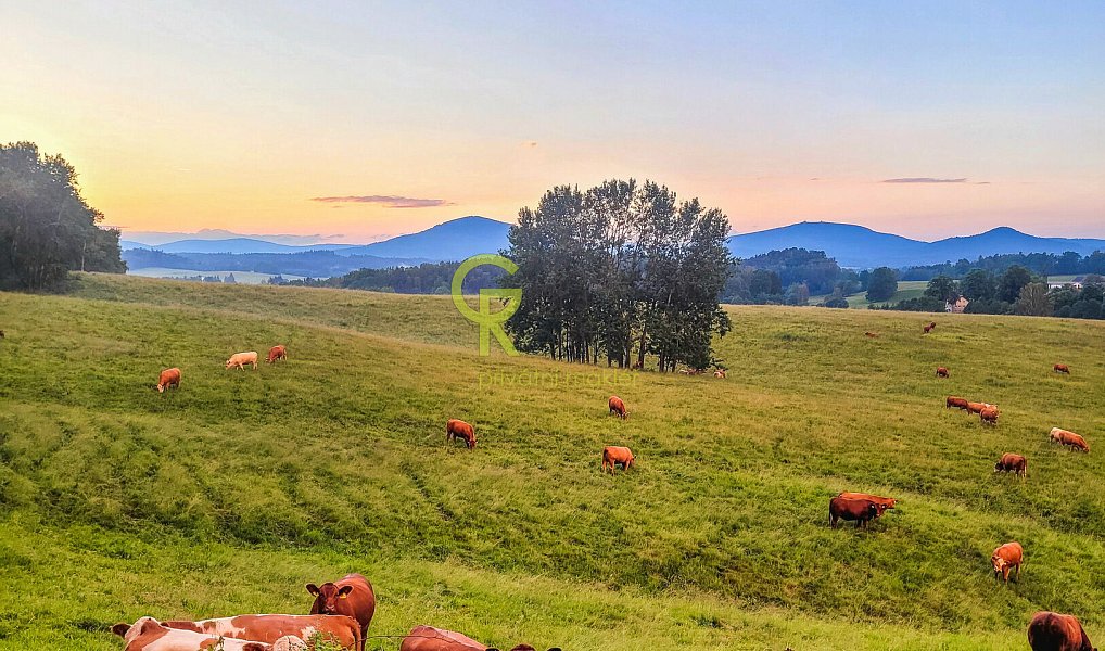 Prodej domu 130 m² s pozemkem 4 168 m², Jablonné v Podještědí – náhled fotky 28