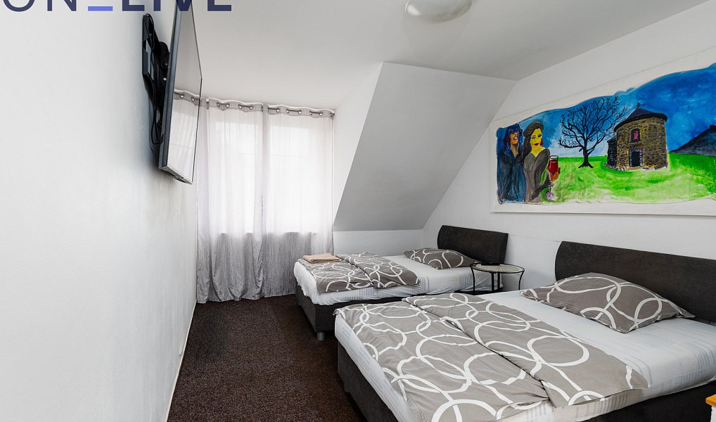 Prodej ubytovacího objektu 480 m², Starý Plzenec – náhled fotky 14