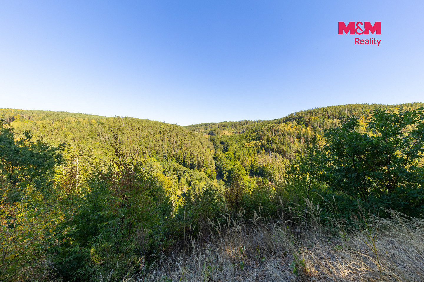 Prodej lesa 7 450 m² – fotografie 5