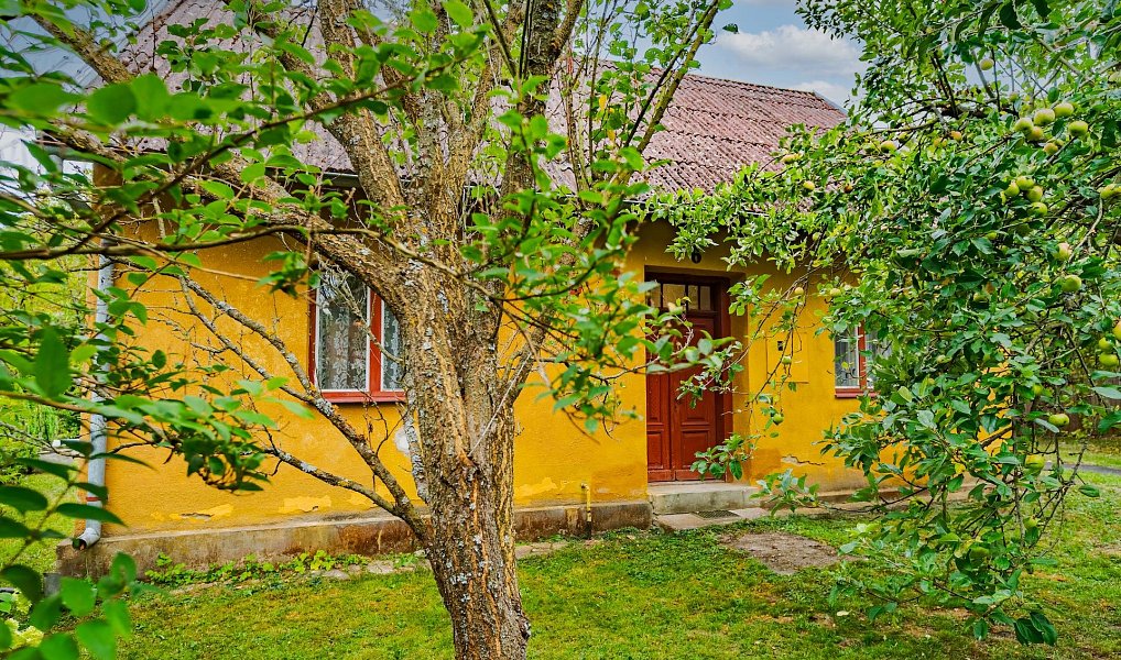 Prodej domu 142 m² s pozemkem 522 m², Svojanov – náhled fotky 4