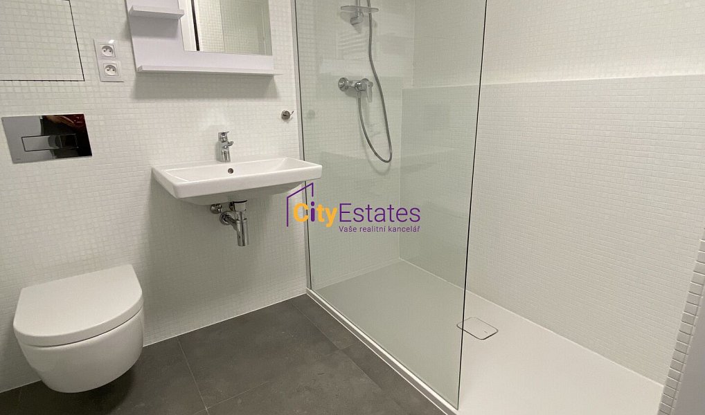 Pronájem bytu 2+kk 56 m², Praha – náhled fotky 13