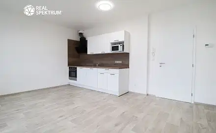 Pronájem bytu 1+kk 30 m²