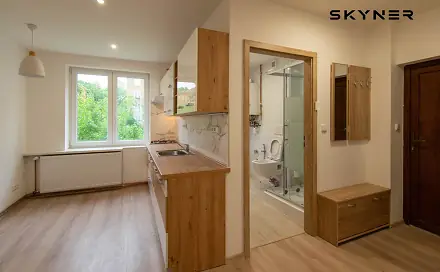 Pronájem bytu 2+1 54 m², Masarykova, Ústí nad Labem - Klíše