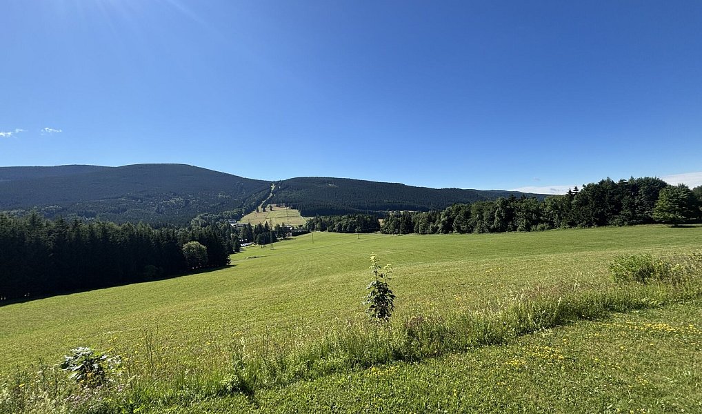 Prodej bytu 3+1 113 m², Ostružná – náhled fotky 6