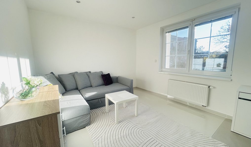 Pronájem bytu 1+1 40 m², Veselí nad Moravou – náhled fotky 5
