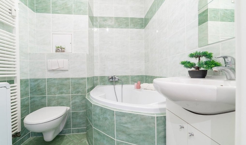 Pronájem bytu 1+kk 33 m², Praha – náhled fotky 12
