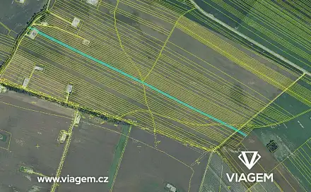 Prodej pole 1 114 m², Týnec, okres Břeclav