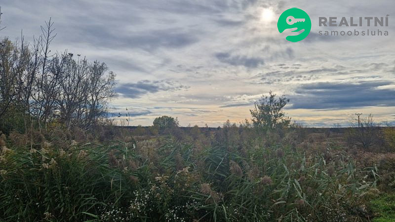 Prodej pole 2 371 m²