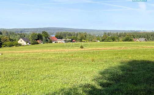 Prodej louky 11 513 m², Škrdlovice, okres Žďár nad Sázavou