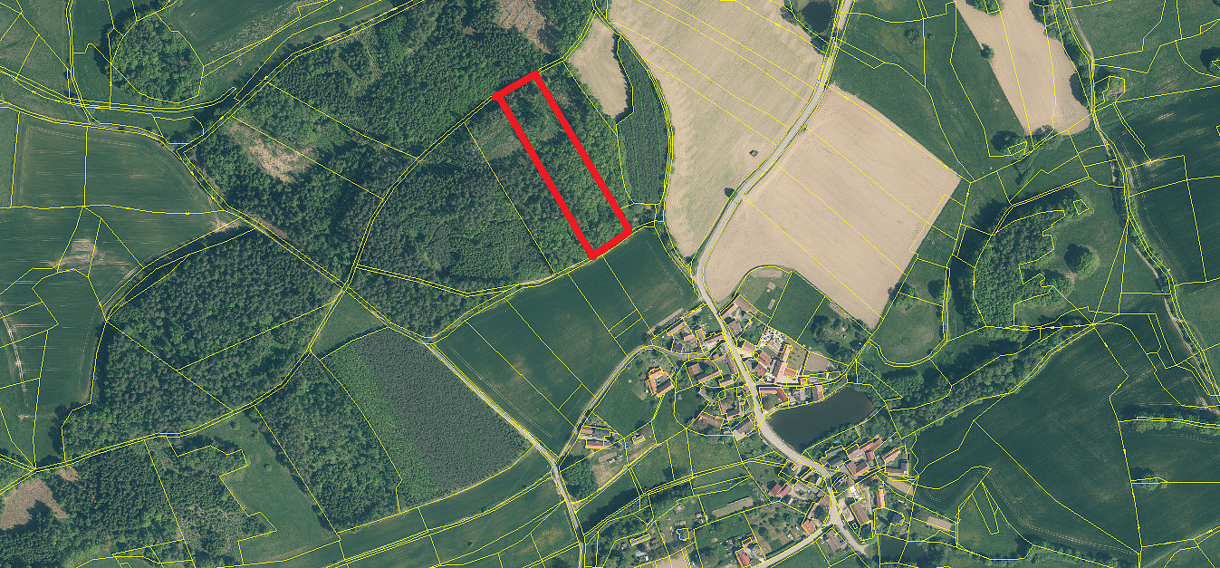 Prodej lesa 9 634 m²
