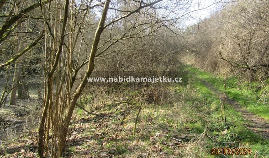 Prodej pozemku 2 519 m², Mlečice – náhled fotky 2
