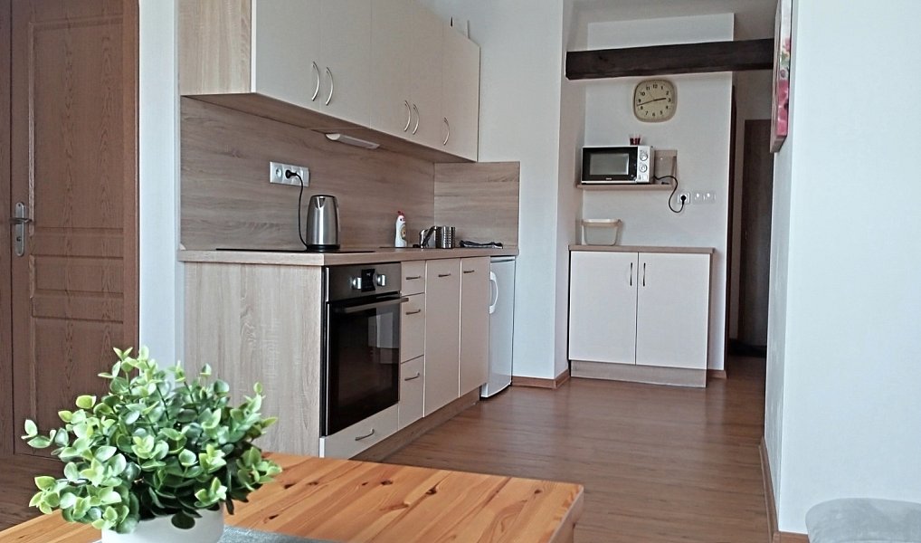 Prodej bytu 2+kk 56 m², Horní Planá – náhled fotky 4