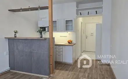 Pronájem bytu 1+kk 24 m²