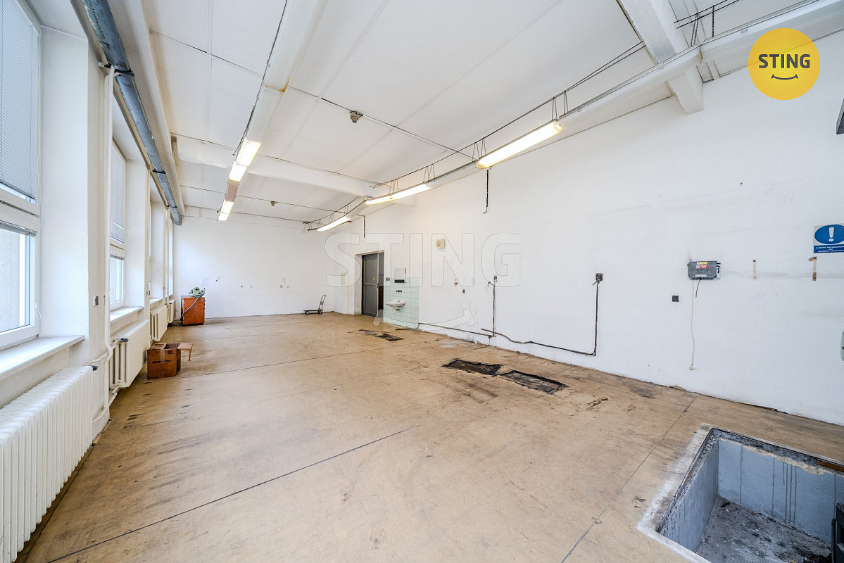 Pronájem komerčního objektu (jiného typu) 556 m² - Widok 5