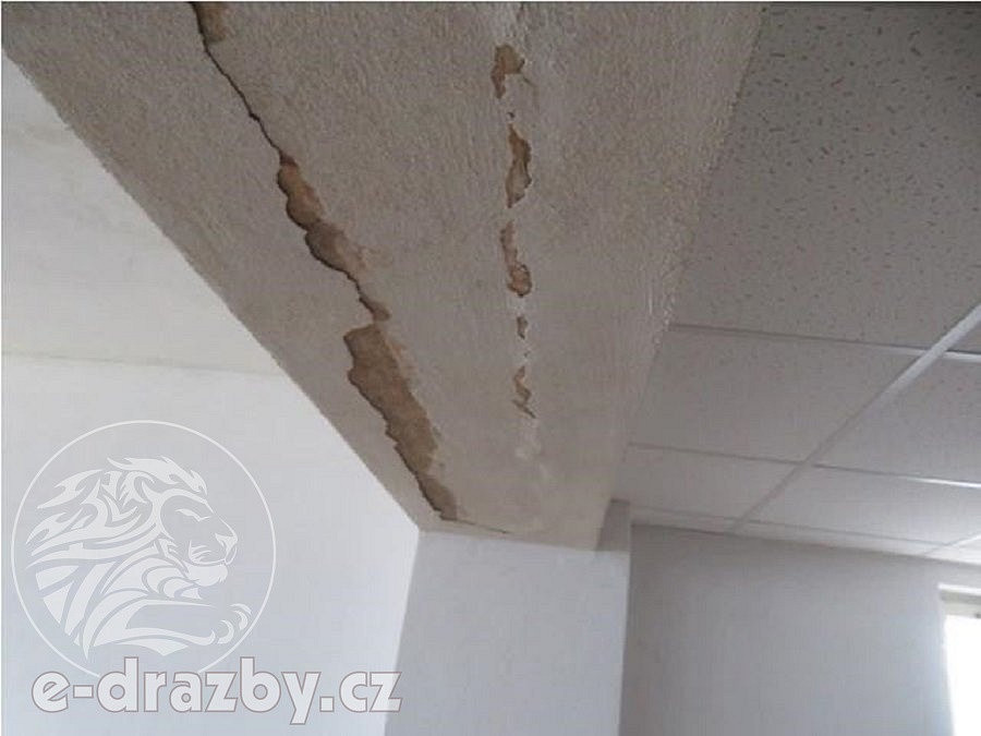 Prodej komerčního objektu (jiného typu) 2 957 m² – fotografie 5