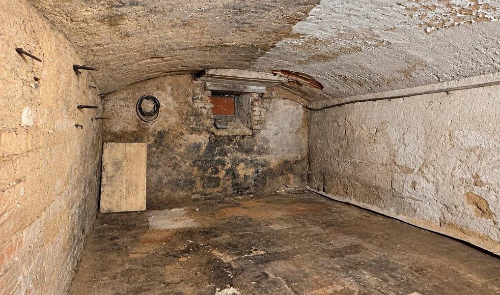Prodej ostatní Ostatní, 135m2, Plzeň, Plzeň 2-Slovany, Východní Předměstí, Plzeň – náhled fotky 10